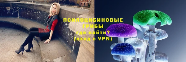 шишки Алексин