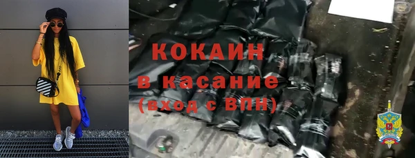 шишки Алексин