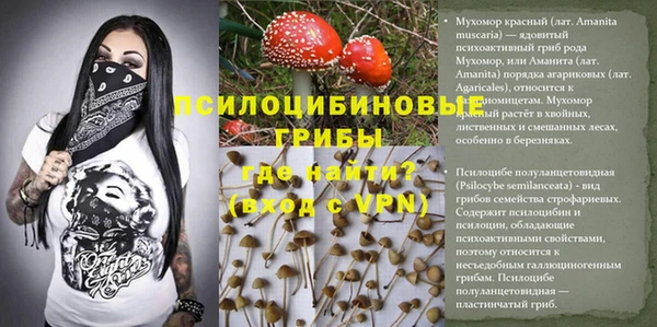 молекула духа Алексеевка