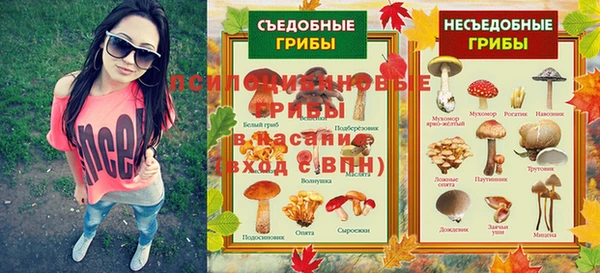 apvp Алзамай