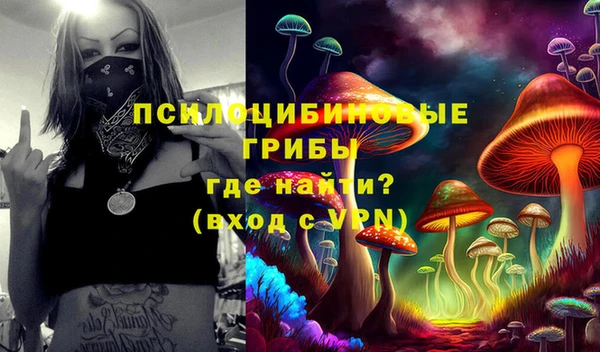 молекула духа Алексеевка
