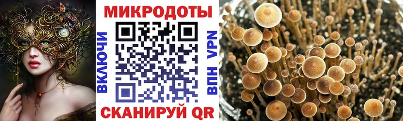 Галлюциногенные грибы мицелий  Североуральск 